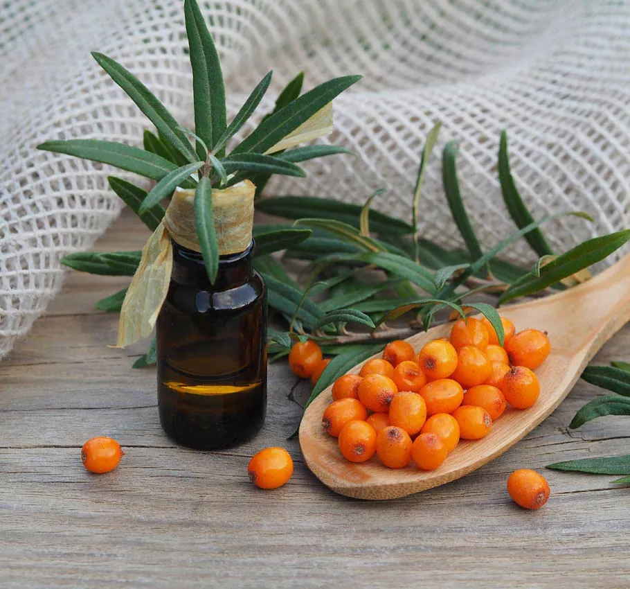 Das beliebte Sanddornöl gibt es als Geschenk bei der Buchung der Premium-Vitaltage mit Basenfasten im Grand Hotel Binz.