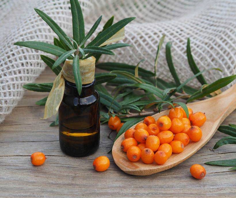 The popular sea buckthorn oil is available as a gift when booking the Premium Vitality Days with alkaline fasting at the Grand Hotel Binz.