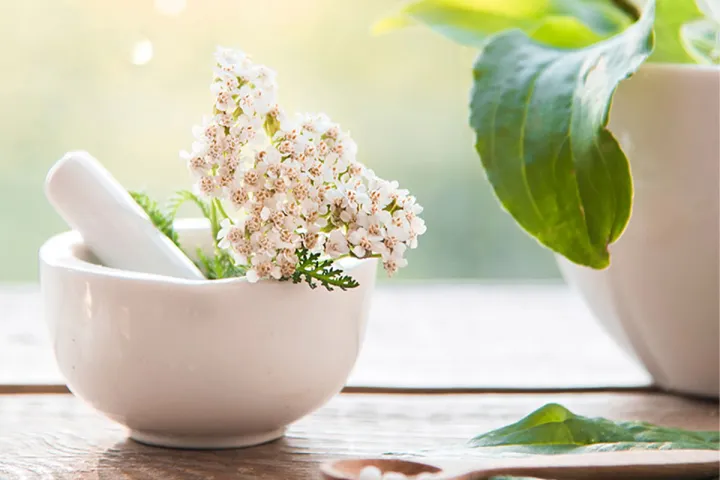 Trained naturopaths ensure your well-being at the Grand Hotel Binz with the help of naturopathy and alternative healing methods.