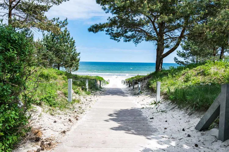 Ein Holzweg führt zum ruhigen Sandstrand an der Ostsee und himmlisch blauen Wasser, gesäumt von Bäumen und Grünfläche.